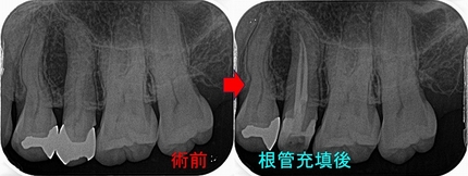 2026EEdental TKA (2).jpg