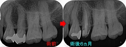 2026EEdental TKA (3).jpg