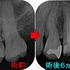 2026EEdental TKA (3).jpg
