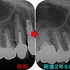 2026 EEdental HTO (2).jpg
