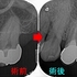 2026 EEdental KHI (2).jpg