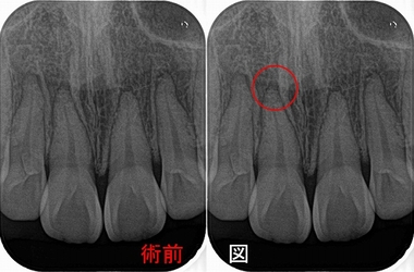 2026 EEdental TMA (1).jpg