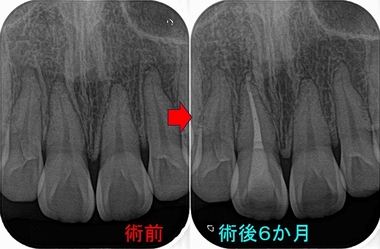 2026 EEdental TMA (3).jpg