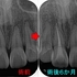 2026 EEdental TMA (3).jpg
