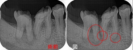 2026 EEdental YKE (1).jpg