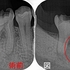 2026 EEdental YKE (1).jpg