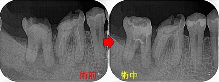 2026 EEdental YKE (2).jpg
