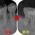 2026 EEdental YKE (2).jpg