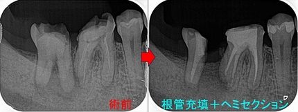 2026 EEdental YKE (3).jpg