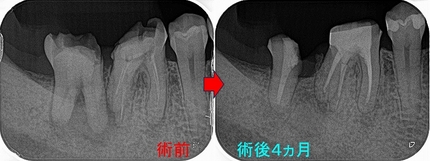 2026 EEdental YKE (4).jpg