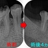 2026 EEdental YKE (4).jpg