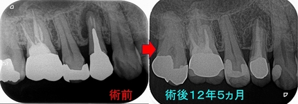 2026 EEdental EEdental TMI (4).jpg