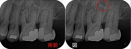 2026 EEdental IT (1).jpg
