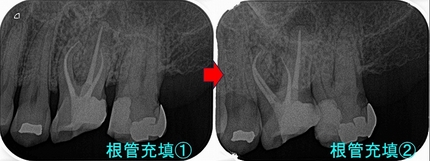 2026 EEdental IT (2).jpg