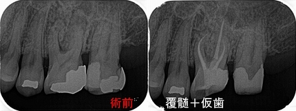 2026 EEdental IT (3).jpg