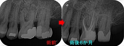2026 EEdental IT (4).jpg