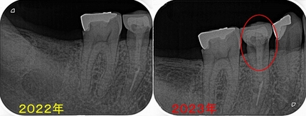 2026 EEdental IYU (1).jpg