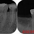 2026 EEdental IYU (1).jpg