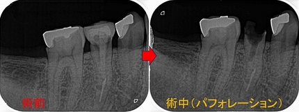 2026 EEdental IYU (2).jpg