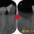 2026 EEdental IYU (2).jpg