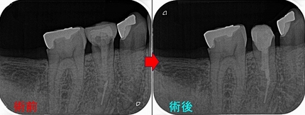 2026 EEdental IYU (3).jpg