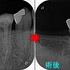 2026 EEdental IYU (3).jpg