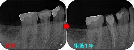2026 EEdental IYU (4).jpg