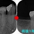 2026 EEdental IYU (4).jpg