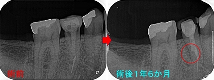 2026 EEdental IYU (5).jpg