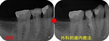 2026 EEdental IYU (6).jpg