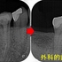2026 EEdental IYU (6).jpg