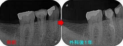 2026 EEdental IYU (7).jpg