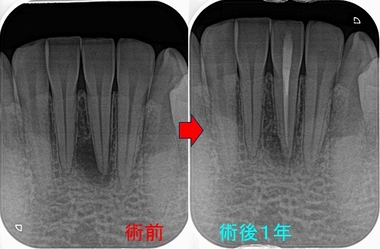 2026 EEdental MUK (1).jpg