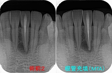 2026 EEdental MUK (3).jpg