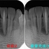 2026 EEdental MUK (3).jpg