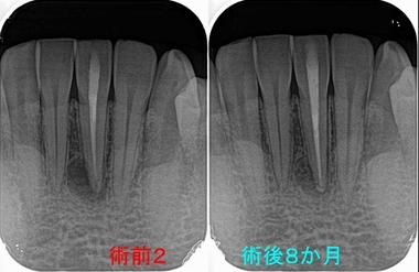 2026 EEdental MUK (4).jpg