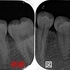 2026 EEdental NON (1).jpg