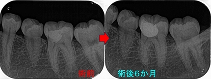 2026 EEdental NON (3).jpg