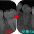 2026 EEdental NON (3).jpg